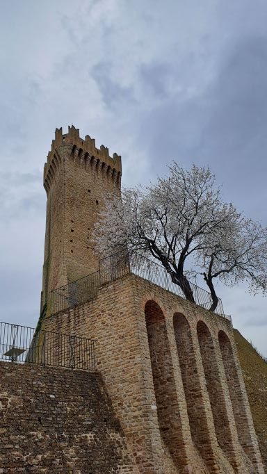 La Torre triangolare di Montegualtieri e la sua valle. Domenica 12 marzo 2023.